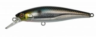 Illex Squad Minnow 65 - 